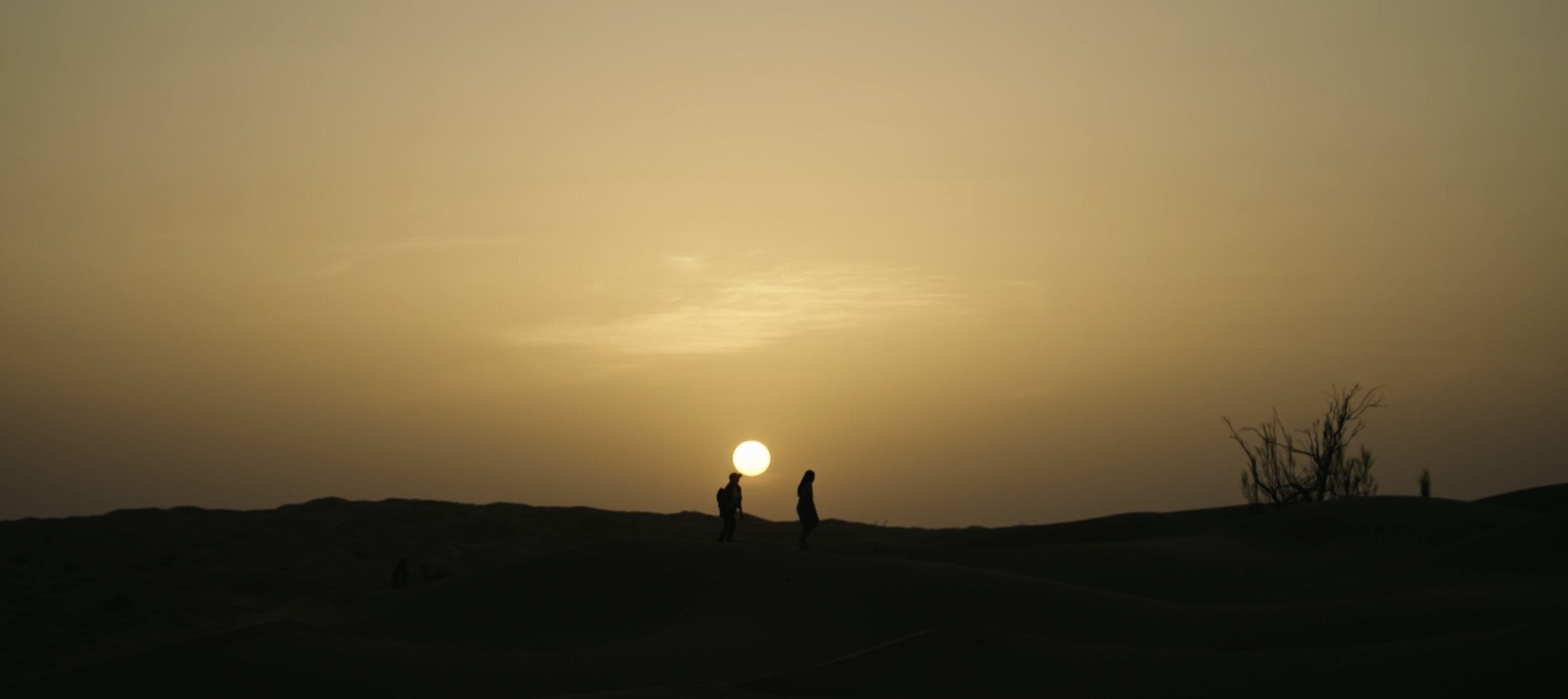 Desert sunset silhouette