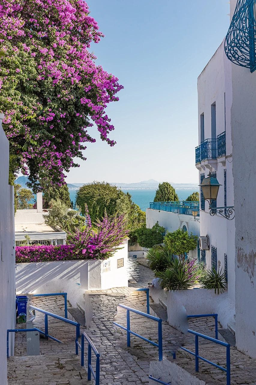 Sidi Bou Said architecture with sea view